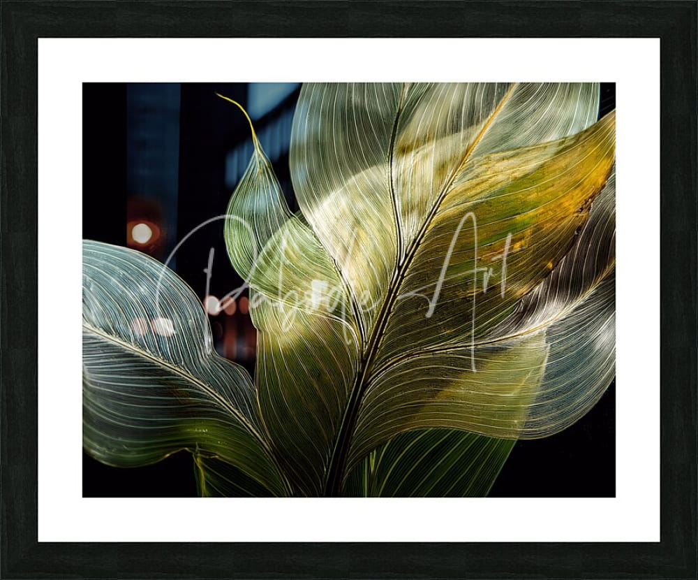 A framed photographic print of large translucent green tropical leaves with golden highlights on a black background