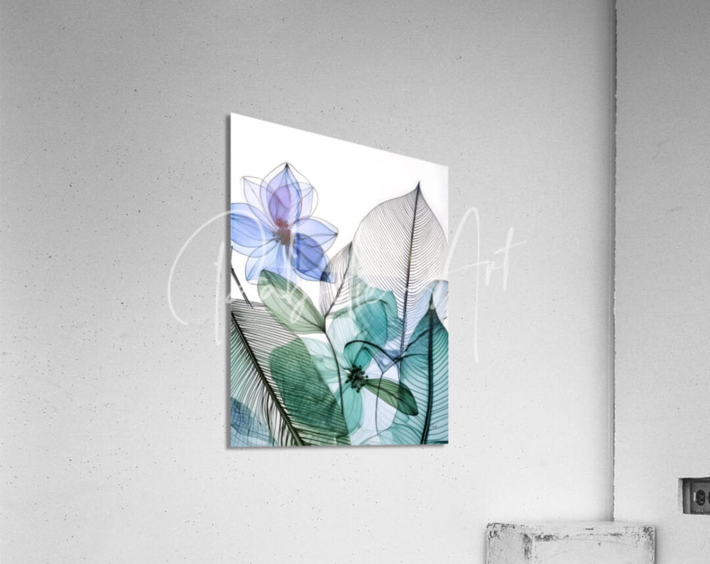 A rectangular acrylic print titled tropical patterns II with translucent blue and green botanical leaves mounted on a white wall