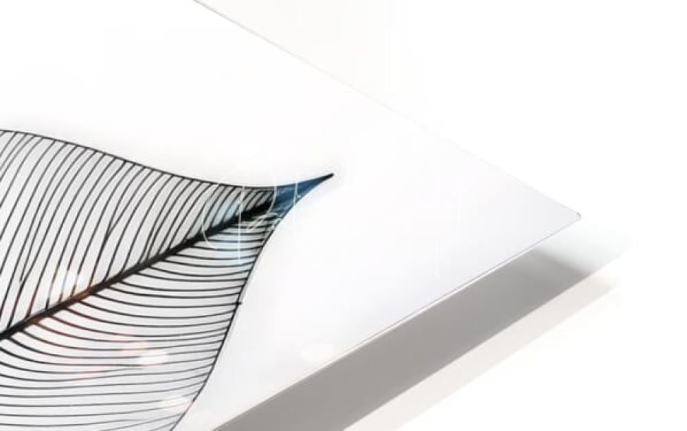 A sleek transparent acrylic plaque featuring an intricate black feather design with blue accents from tropical patterns II