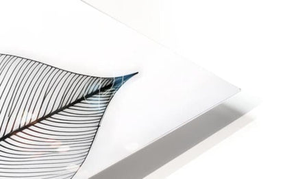 A sleek transparent acrylic plaque featuring an intricate black feather design with blue accents from tropical patterns II