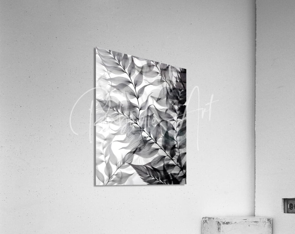 Black and white botanical print titled tropical transparencies iv mounted on wall showcasing leaf details