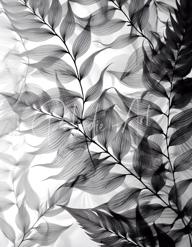 Black and white x-ray style botanical print of delicate fern leaves with intricate veins titled tropical tranparencies iv
