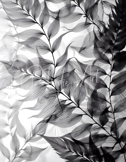 Black and white x-ray style botanical print of delicate fern leaves with intricate veins titled tropical tranparencies iv