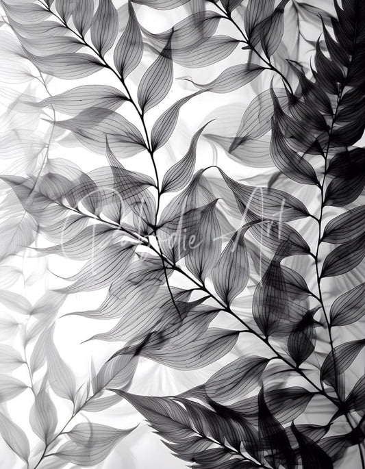Black and white x-ray style botanical print of delicate fern leaves with intricate veins titled tropical tranparencies iv