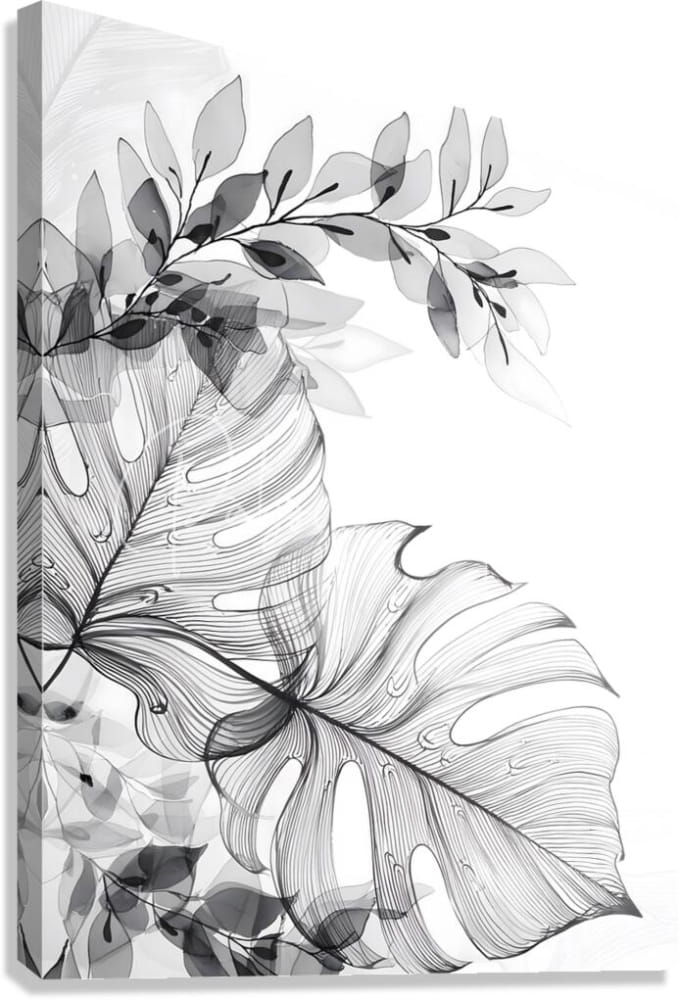 Black and white botanical canvas print featuring layered monstera leaves with delicate vein detailing titled tropical transparencies i