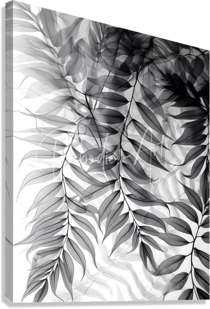 Black and white x-ray style canvas print featuring delicate fern leaves titled tropical transparencies III