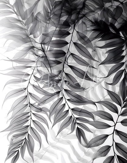 Black and white botanical print featuring delicate overlapping fern fronds with fine veining in tropical transparencies iii