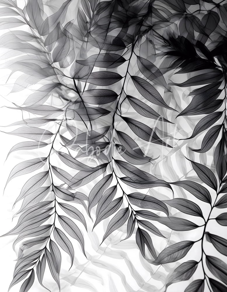 Black-and-white botanical print tropical transparencies iii featuring delicate overlapping fern fronds with fine veining