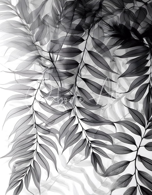 Black-and-white botanical print tropical transparencies iii featuring delicate overlapping fern fronds with fine veining