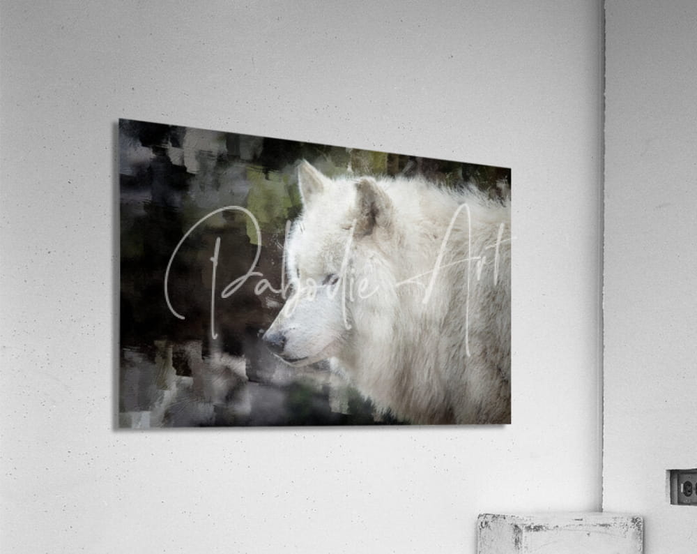 White wolf portrait art on a matte acrylic print titled the white wolf showcasing detailed animal design