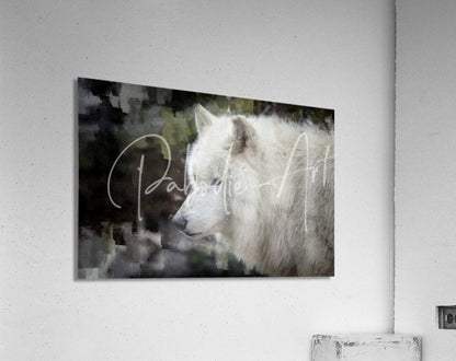 White wolf portrait art on a matte acrylic print titled the white wolf showcasing detailed animal design