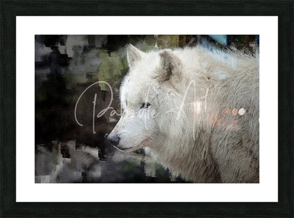Portrait art of a white wolf in a black frame featured in the product the white wolf wall decor