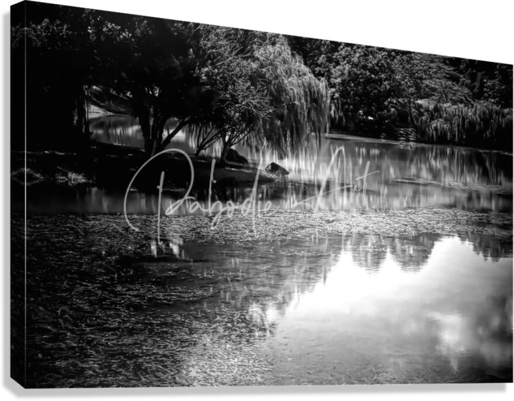 Black-and-white canvas print featuring serene pond with weeping willow trees and reflections titled willow water reflections