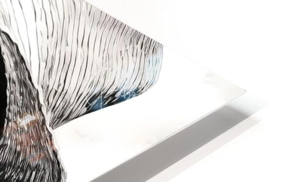 A black and white illustrated bird head print on a transparent acrylic panel titled a womans casual glance