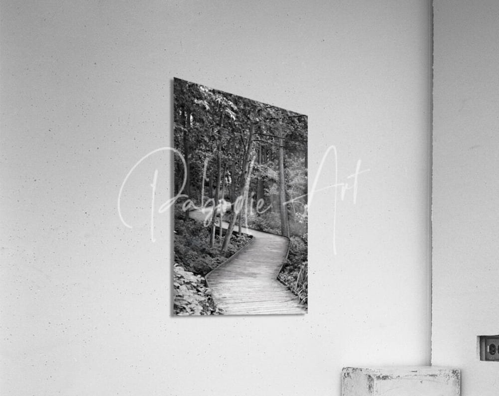 Black and white framed photograph titled the wooden path showing a wooden path winding through a forest