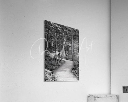 Black and white framed photograph titled the wooden path showing a wooden path winding through a forest