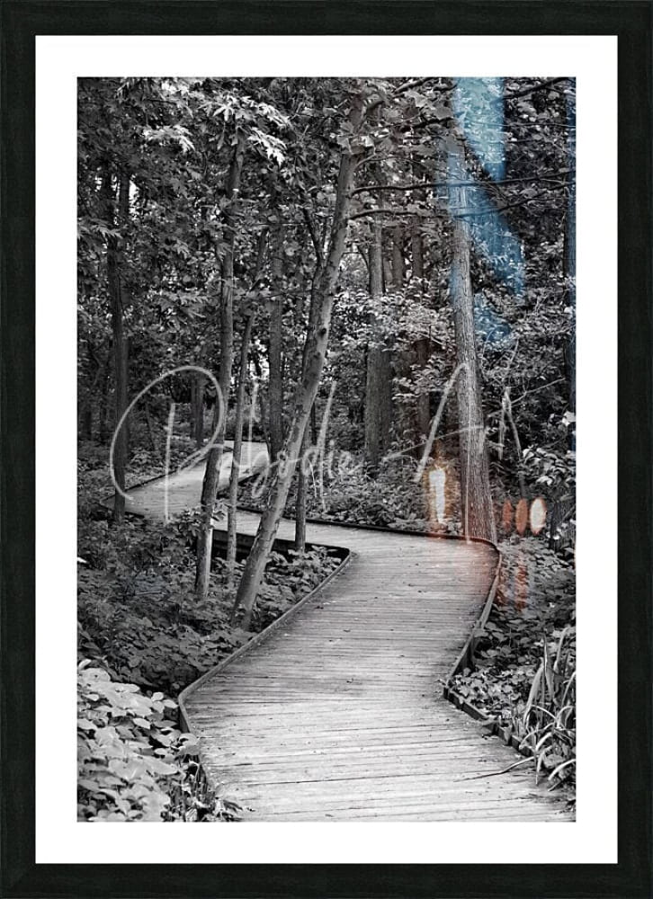 Black-framed art print titled The Wooden Path featuring a winding wooden boardwalk in forest with blue and orange accents