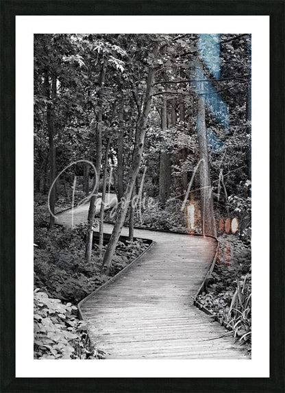 Black-framed art print titled The Wooden Path featuring a winding wooden boardwalk in forest with blue and orange accents