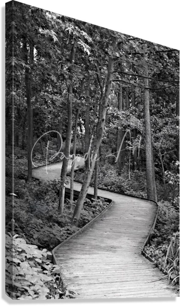 Black-and-white canvas print of a winding wooden boardwalk through a forest titled the wooden path